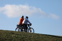 deich_7857-800