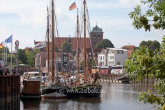 hafensegler_1090