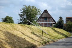 steinkirchen_4220