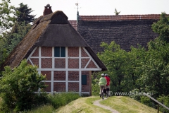 steinkirchen_4230